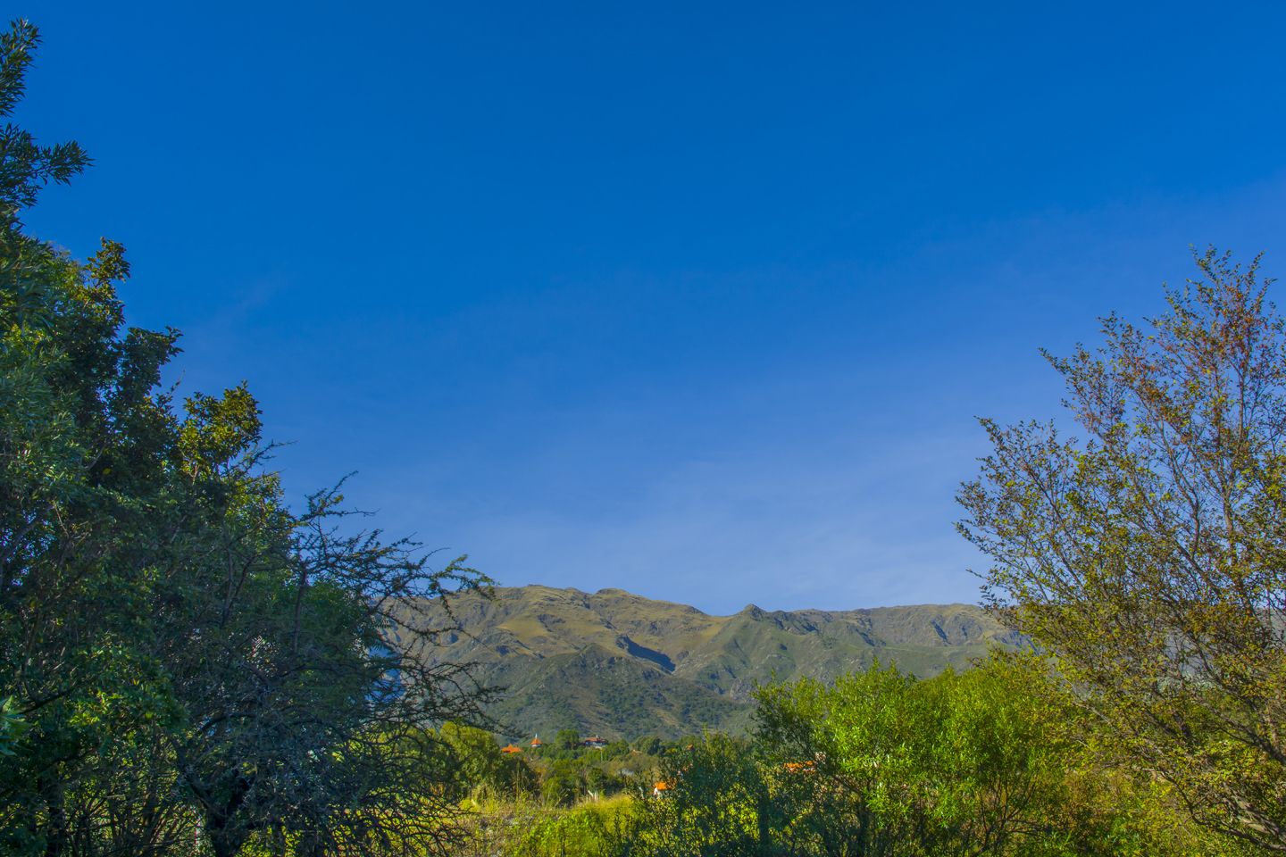 Parque